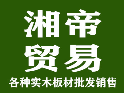 公司介绍